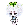 새싹 이슬 프리뷰 이미지